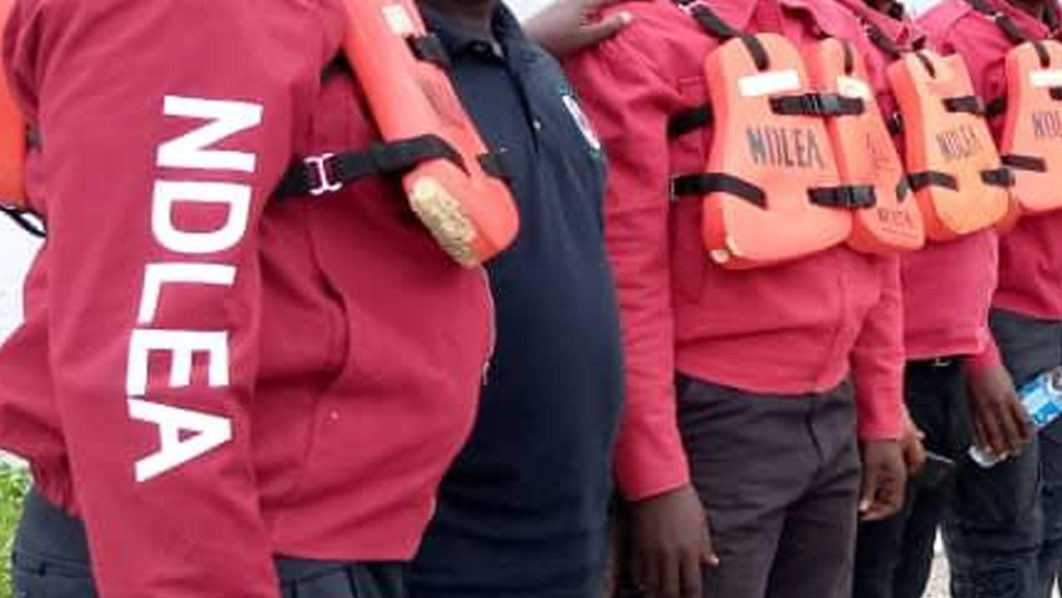 NDLEA Nabs 3 Trans-Border Traffickers With 48,000 Tramadol Tabs in Adamawa