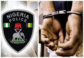 Two arrested with fresh human head in Ogun suspects set ablaze