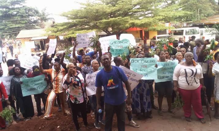 Edo timber dealers protest forest closure